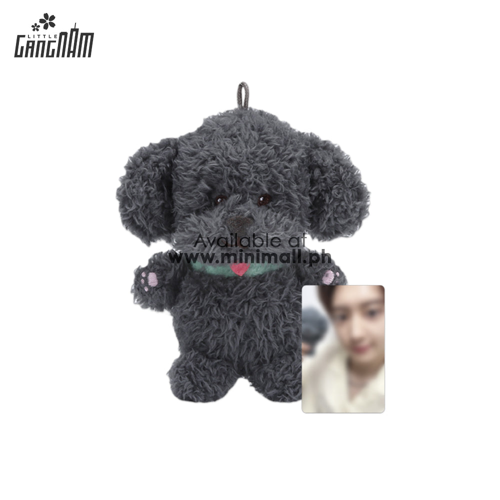 CHANYEOL - 10 CM DOLL SET